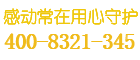 黑豹保险柜